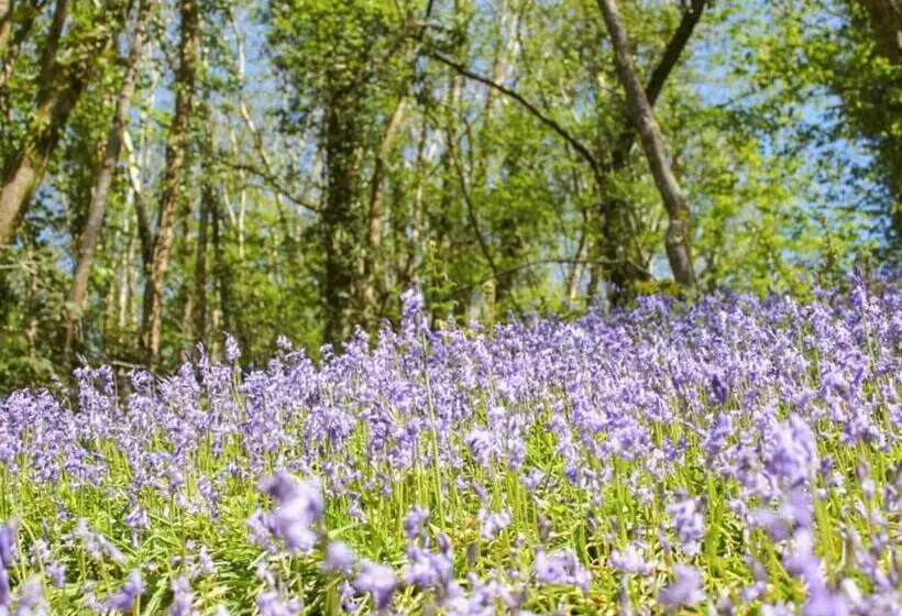 Lomakeskus Notter Bridge Holiday Park