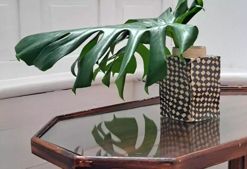 Casa De Las Flores   Hotel Boutique Lanzarote