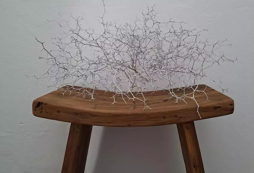 Casa De Las Flores   Hotel Boutique Lanzarote