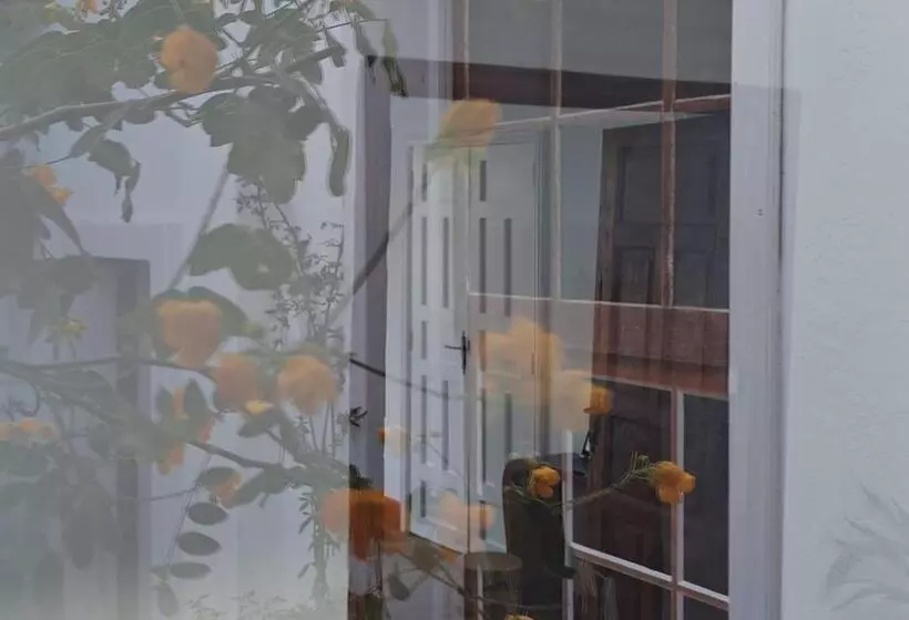 Casa De Las Flores   Hotel Boutique Lanzarote