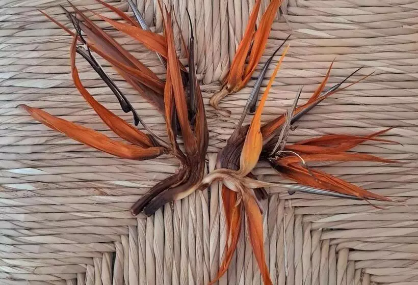 Casa De Las Flores   Hotel Boutique Lanzarote