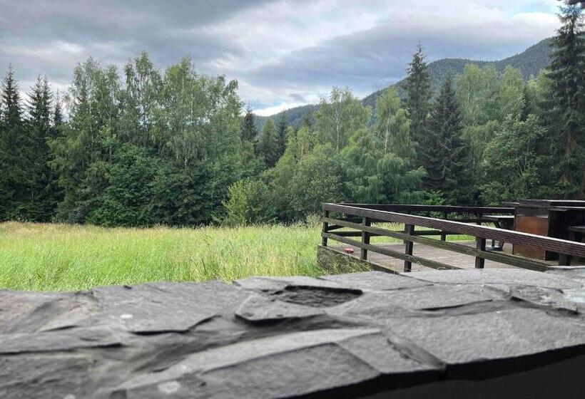 هتل Alpin Apart Apartament 301