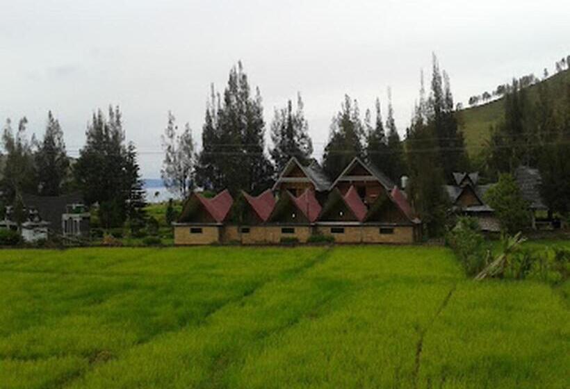 Отель Roman Sinasi