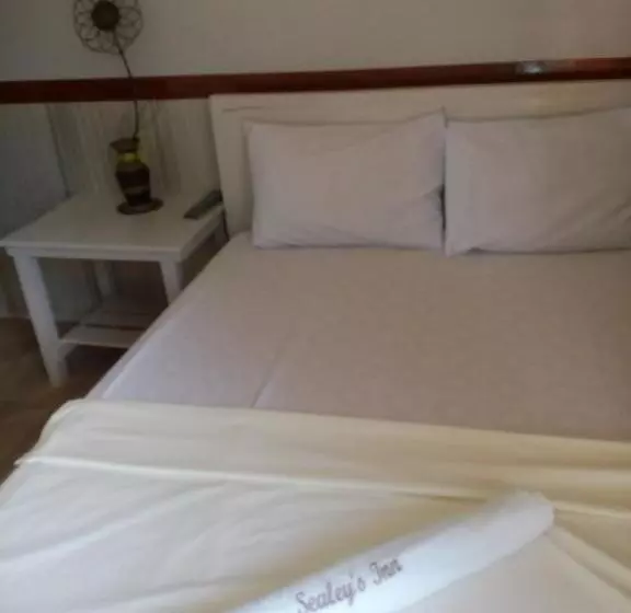 Retkeilymaja Sealey S Inn