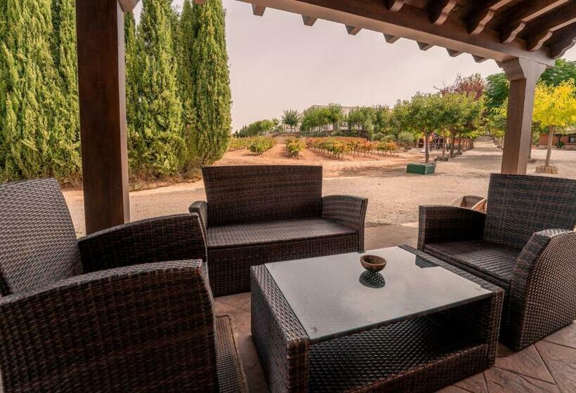 ホテル Bodega Andrés Iniesta Con Visita Y Cata