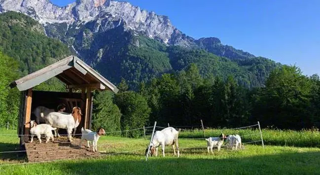 Hotelli Ferienwohnung Lippenlehen
