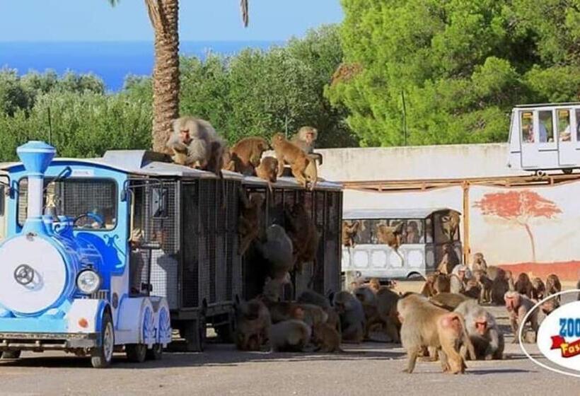 פנסיון B&b Flower House