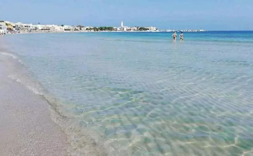 ペンション B&b Flower House