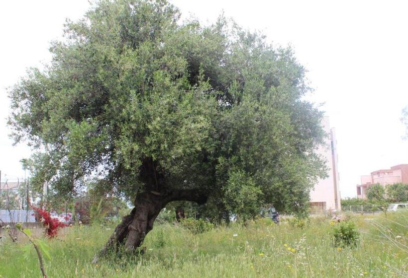 פנסיון B&b Flower House