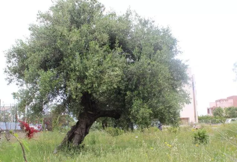 ペンション B&b Flower House