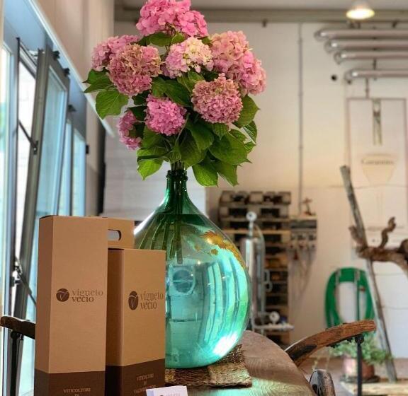 هتل Agriturismo Vigneto Vecio