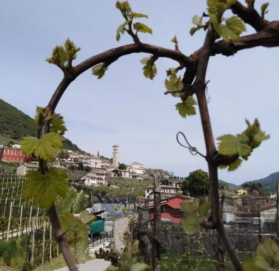 ホテル Agriturismo Vigneto Vecio