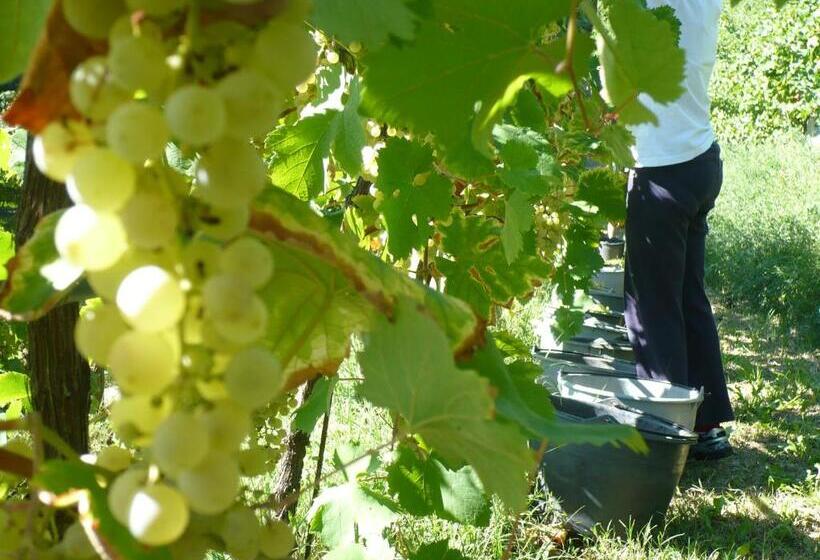 هتل Agriturismo Vigneto Vecio