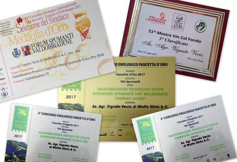 هتل Agriturismo Vigneto Vecio