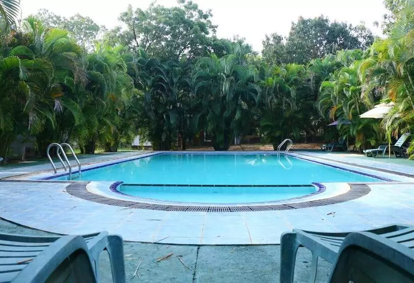 Hotelli Royal Green Garden