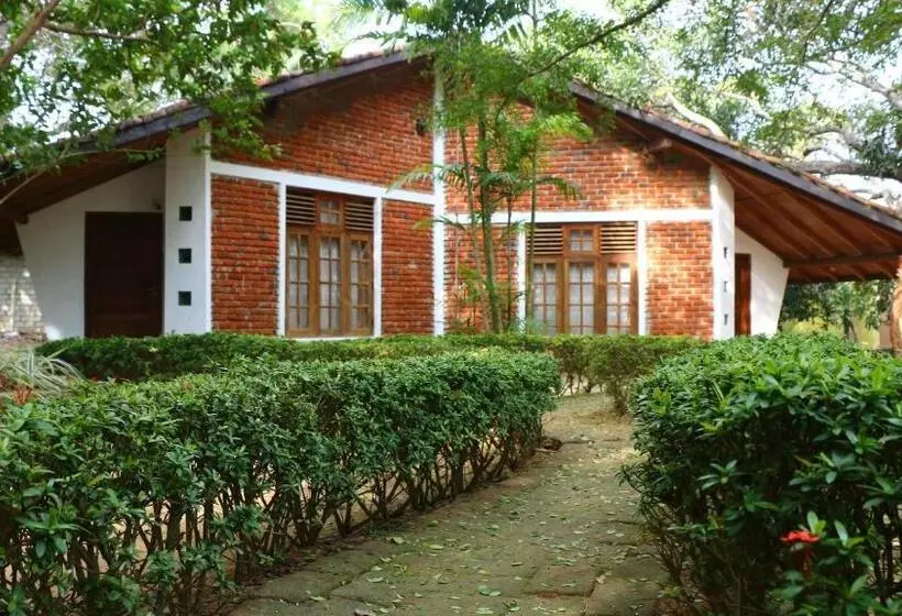 Hotelli Royal Green Garden