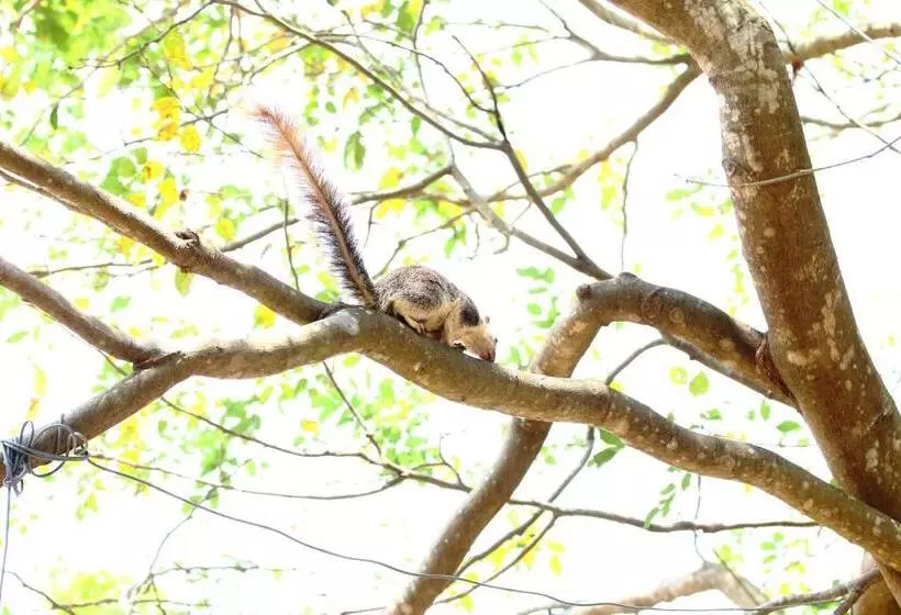 Hotelli Royal Green Garden