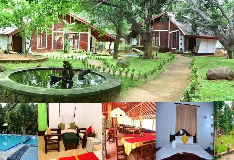 Hotelli Royal Green Garden