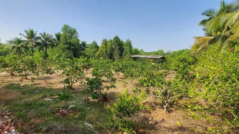 ホテル Sneha Farm House