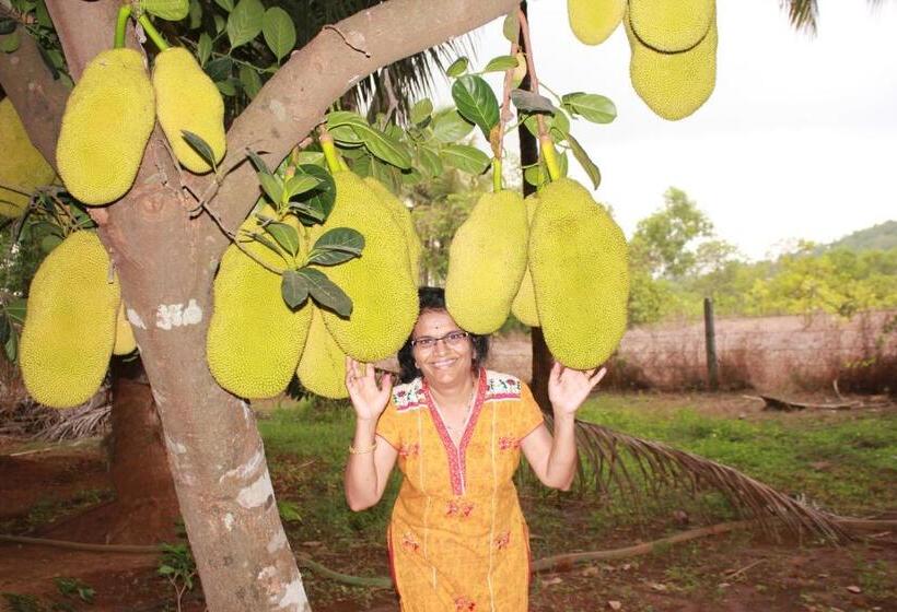 Отель Sneha Farm House