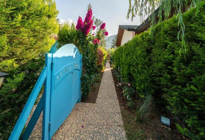 Pensão Terra Pi̇ne