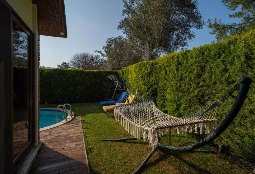 Majatalo Terra Pi̇ne