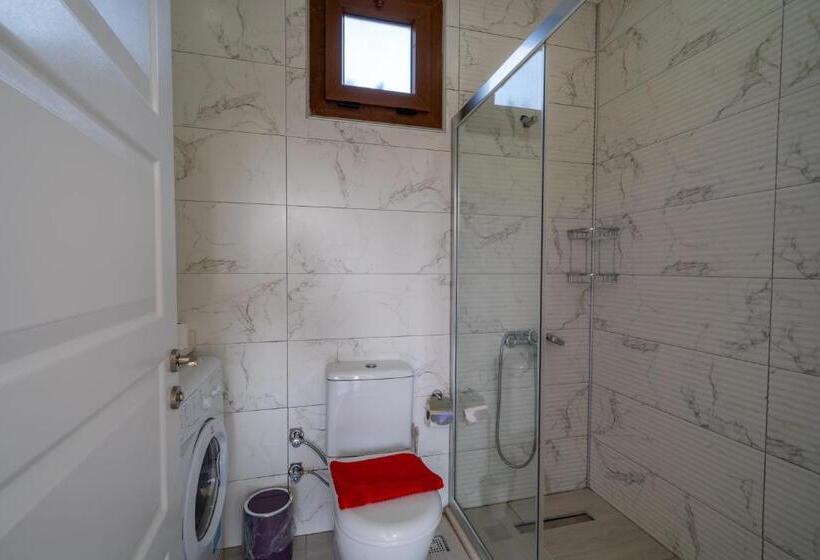 Pensão Terra Pi̇ne