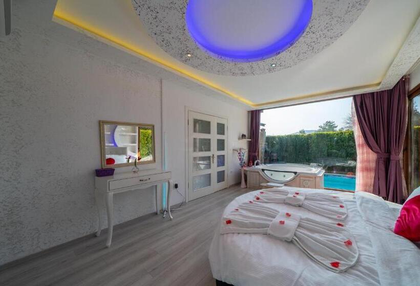 Pensão Terra Pi̇ne