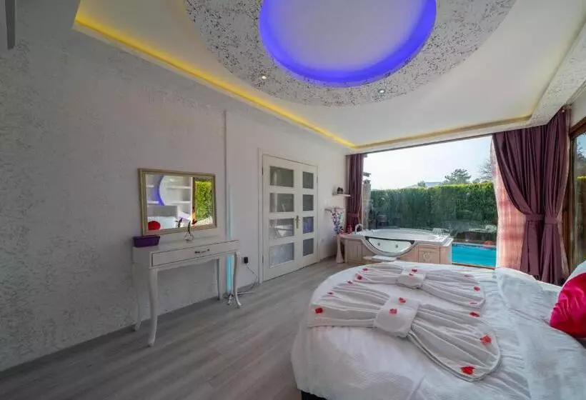 Majatalo Terra Pi̇ne