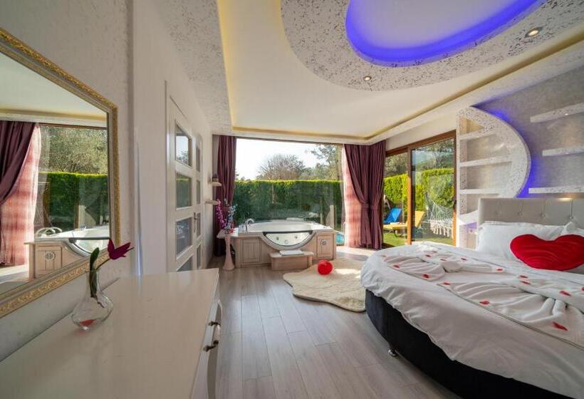 Pensão Terra Pi̇ne