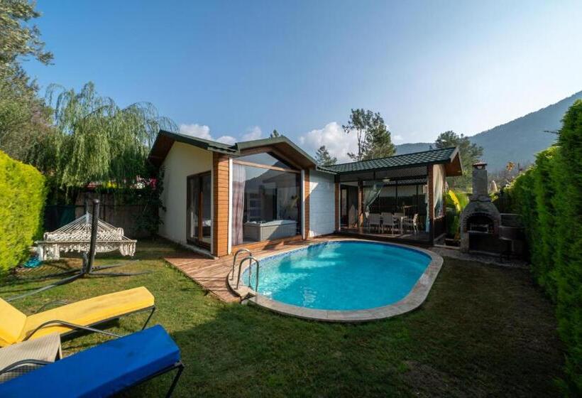 Pensão Terra Pi̇ne