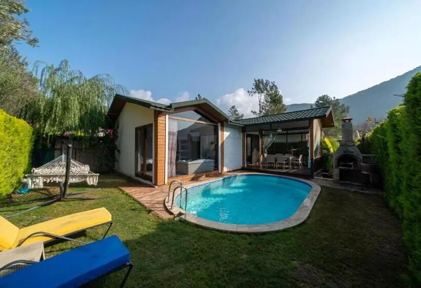 Majatalo Terra Pi̇ne