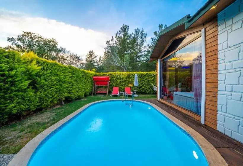 Majatalo Terra Pi̇ne