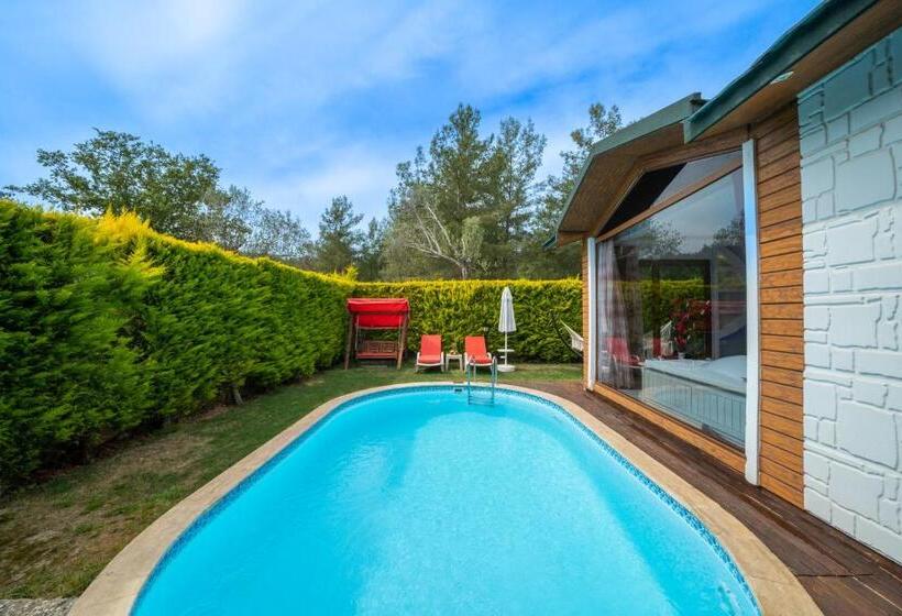 Pensão Terra Pi̇ne