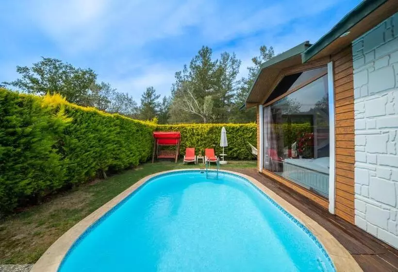 Majatalo Terra Pi̇ne