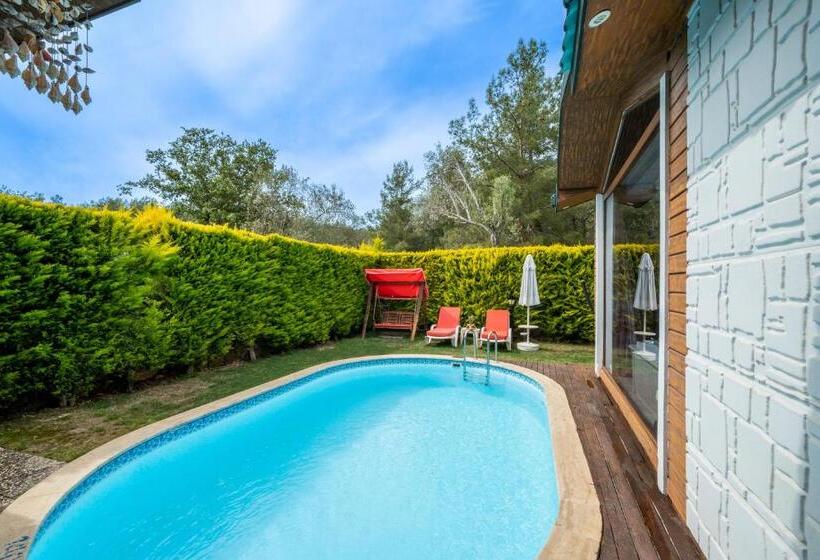 Pensão Terra Pi̇ne