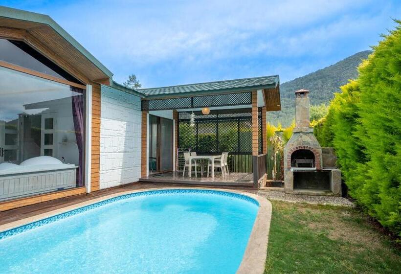 Pensão Terra Pi̇ne