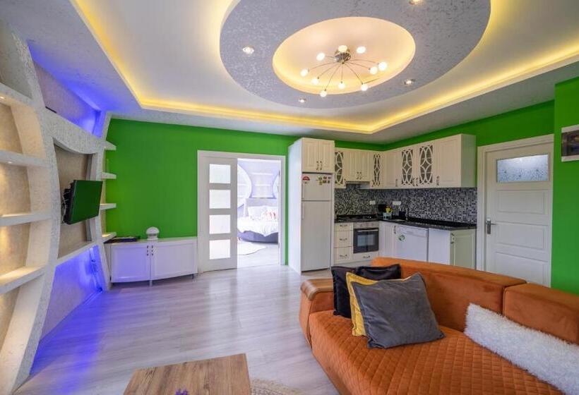 Pensão Terra Pi̇ne