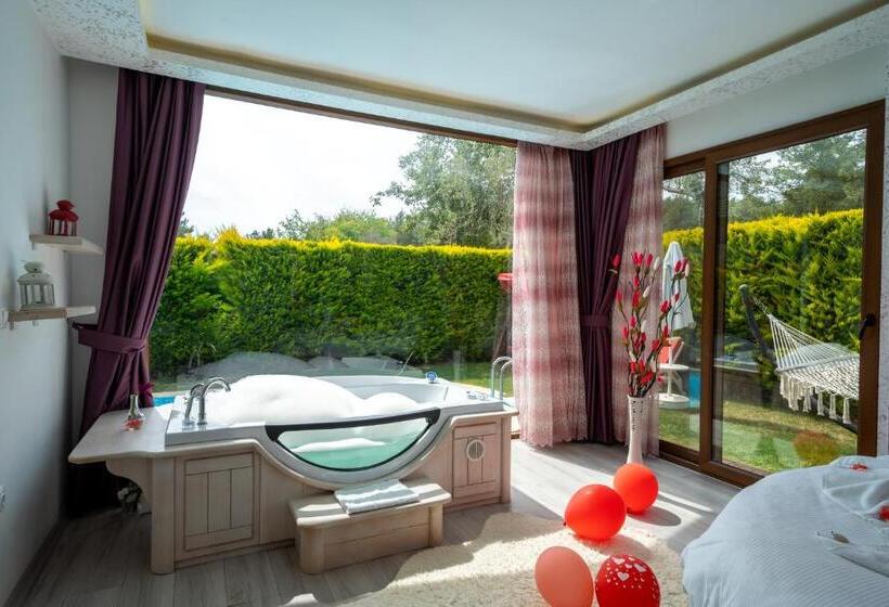 Pensão Terra Pi̇ne