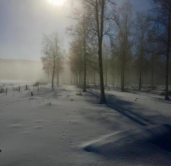 Общежитие Sågverket Höga Kusten