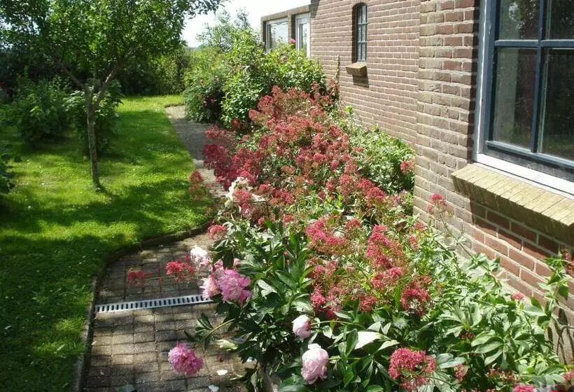 B&b Op De Vlakte