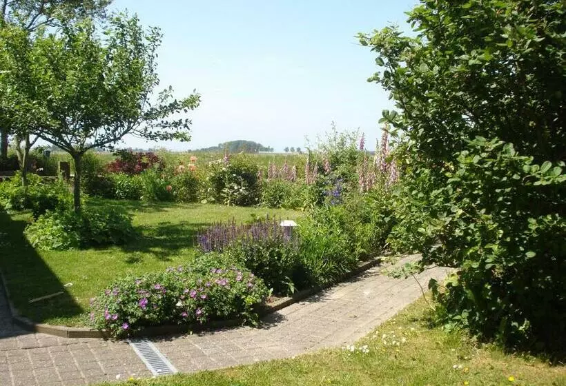 B&b Op De Vlakte