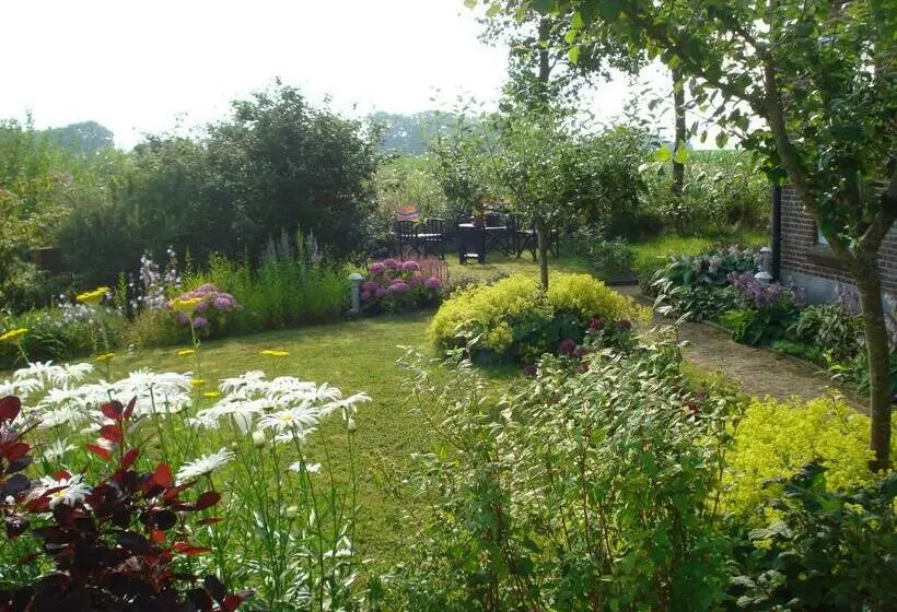 B&b Op De Vlakte