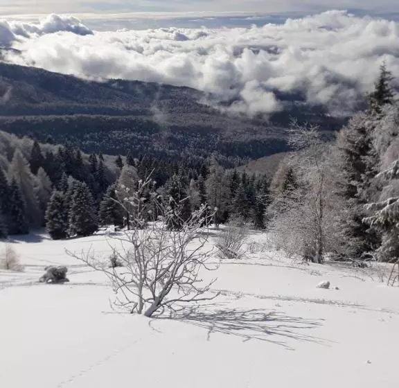 Aamiaismajoitus (B&B) Da C I S A