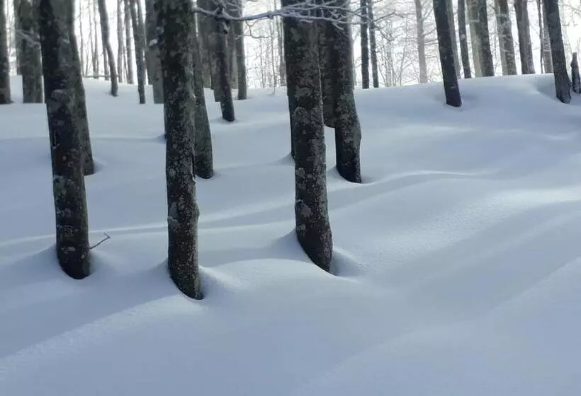 Aamiaismajoitus (B&B) Da C I S A