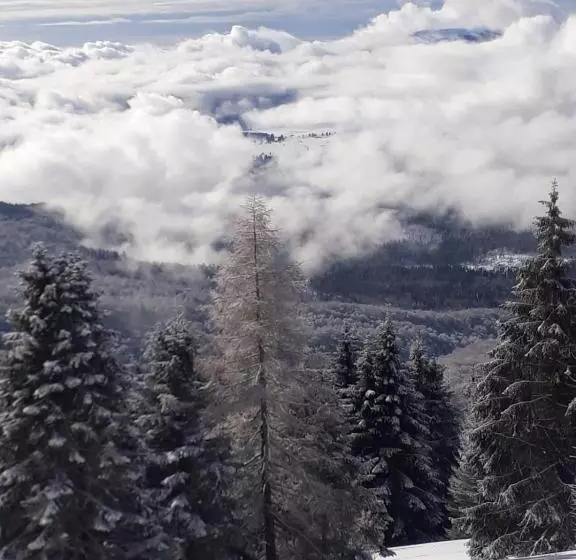 Aamiaismajoitus (B&B) Da C I S A