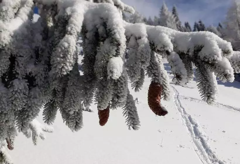 Aamiaismajoitus (B&B) Da C I S A