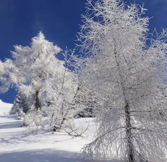 Aamiaismajoitus (B&B) Da C I S A