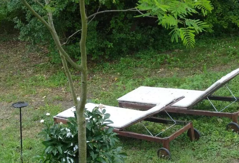 Aamiaismajoitus (B&B) La Culla Di Bacco