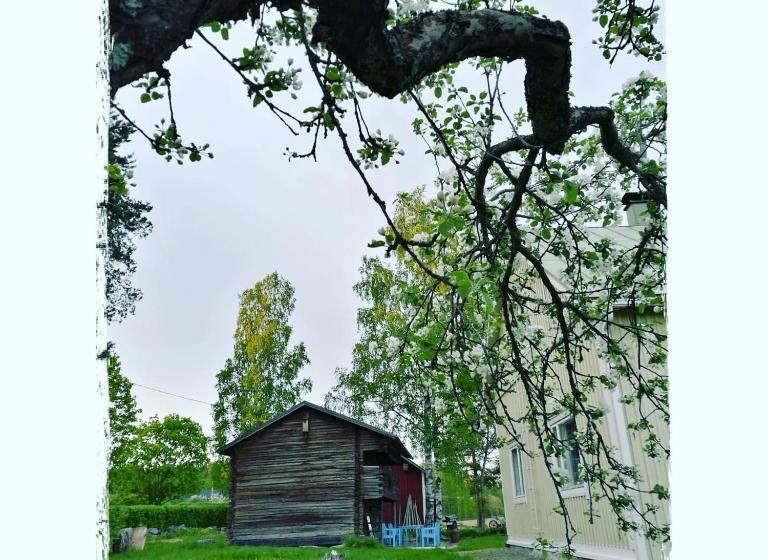 مبيت وإفطار Willa Mustijoki